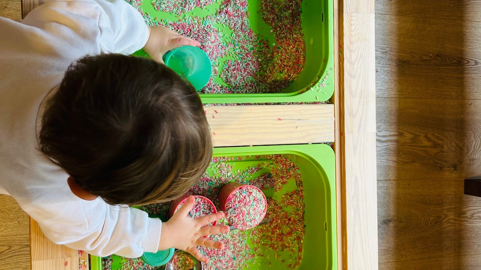 Atelier les explorateurs 18 mois - 3 ans 